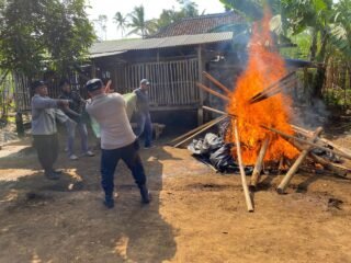 Polres Malang Bongkar Arena Sabung Ayam di Dua Lokasi