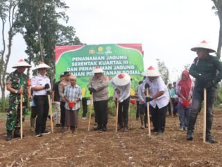 Kolaborasi Untuk Swasembada : Polres Pasuruan Tanam Jagung Serentak di Lahan Perhutanan Sosial  